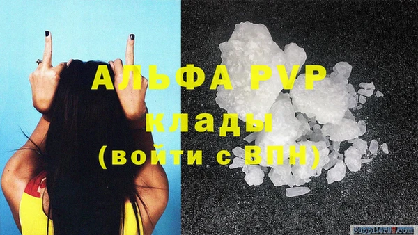 сатива Киренск